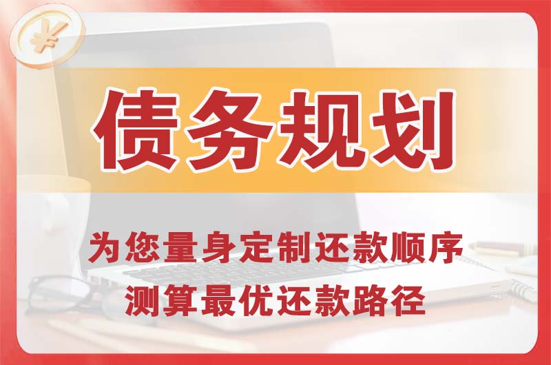 丰顺债务规划